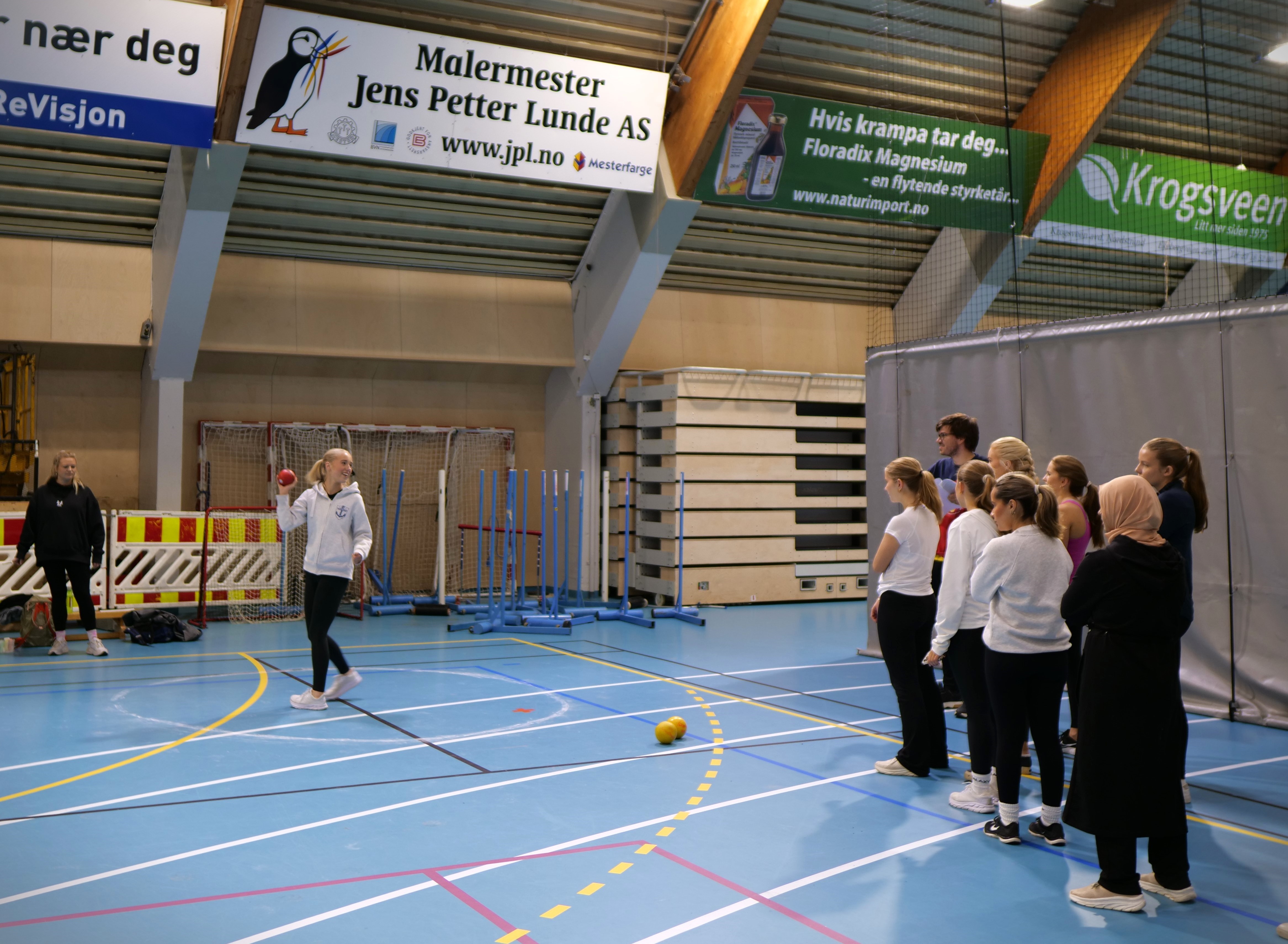 en gruppe mennesker som spiller volleyball