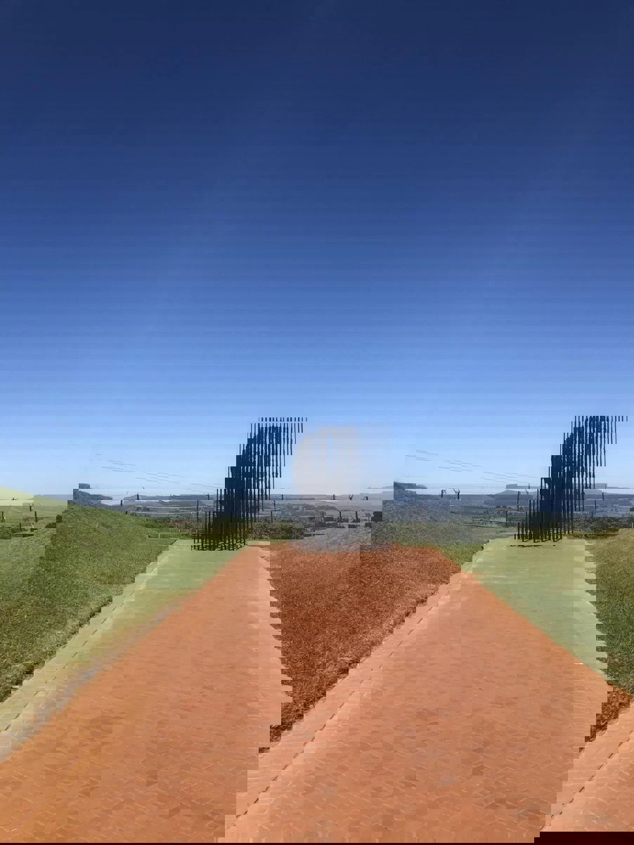 en sti med gress og et gjerde