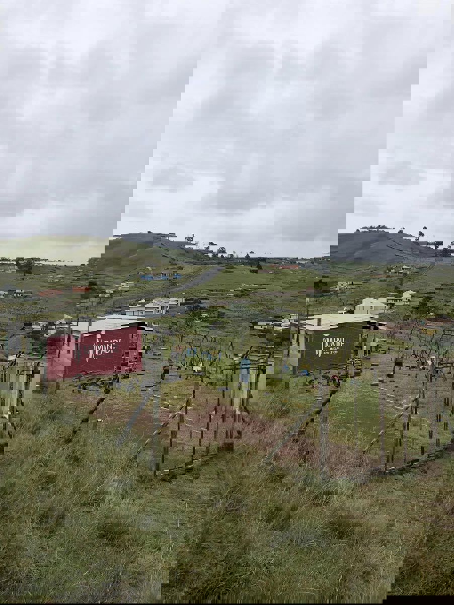 en person som står på en høyde