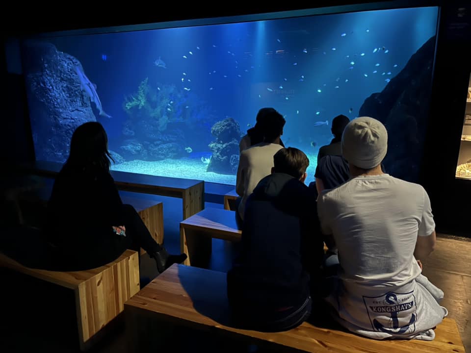 en gruppe mennesker som ser på et stort akvarium