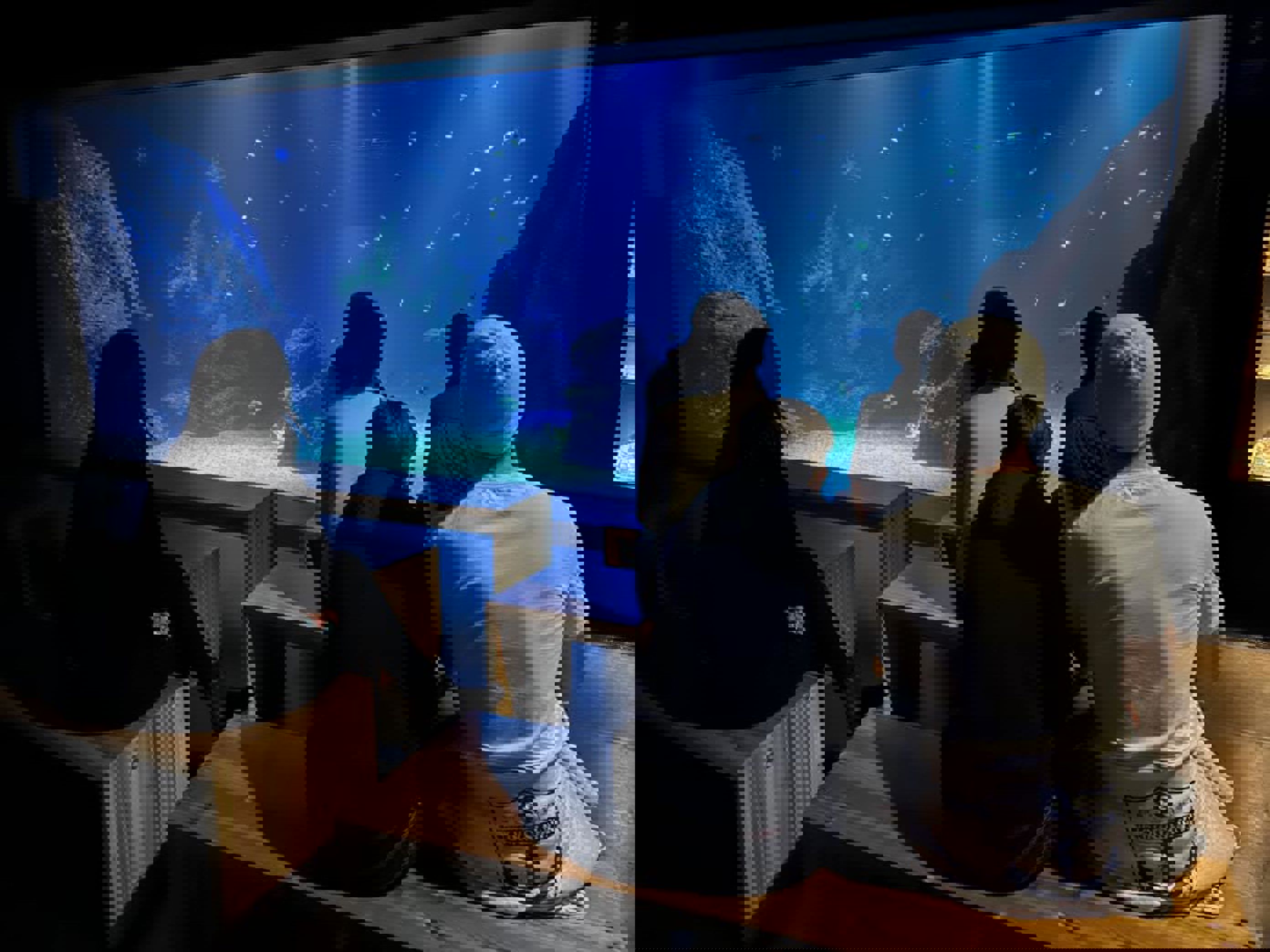 en gruppe mennesker som ser på et stort akvarium en gruppe mennesker som ser på et stort akvarium