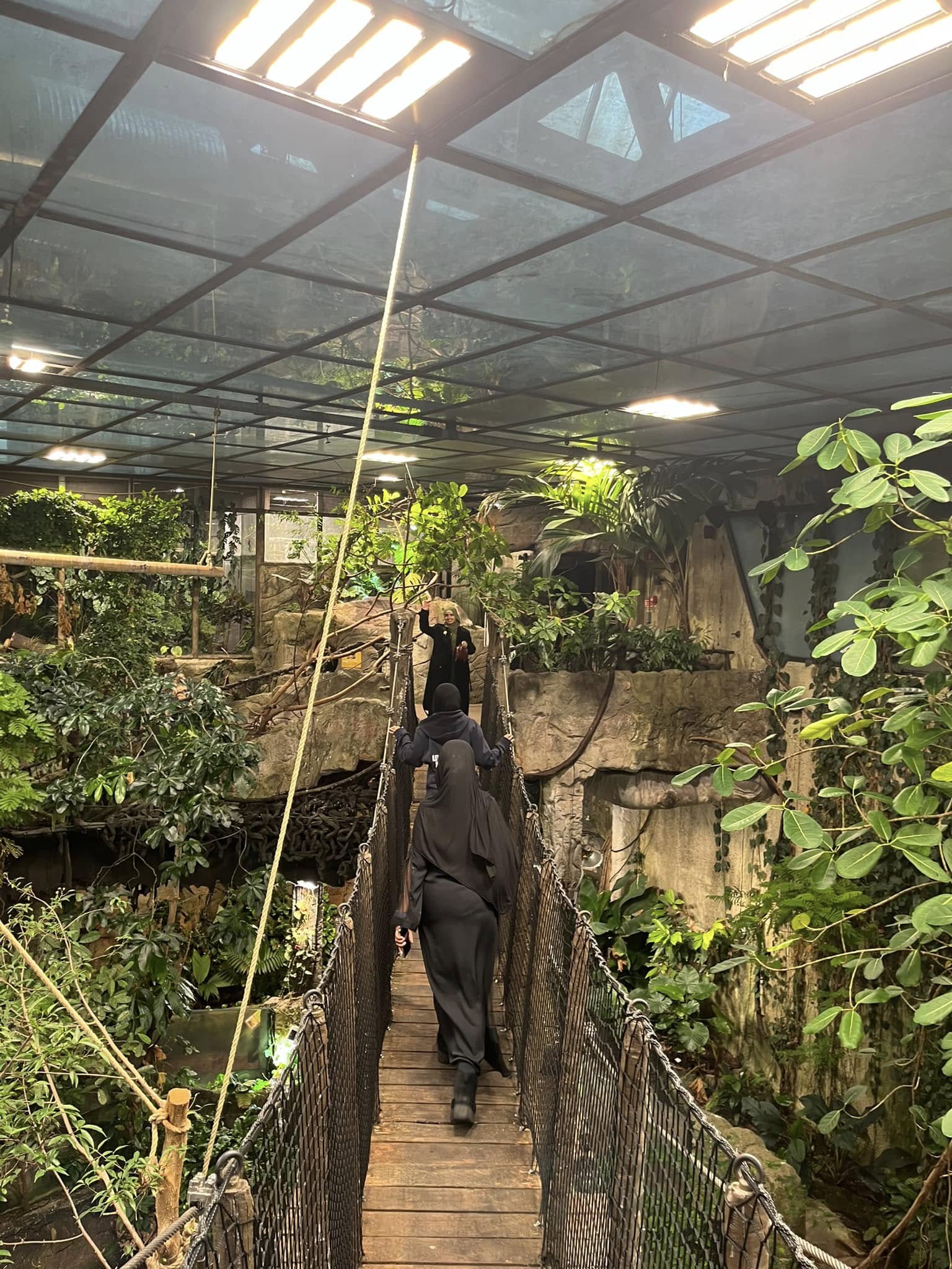 en person som går på en bro