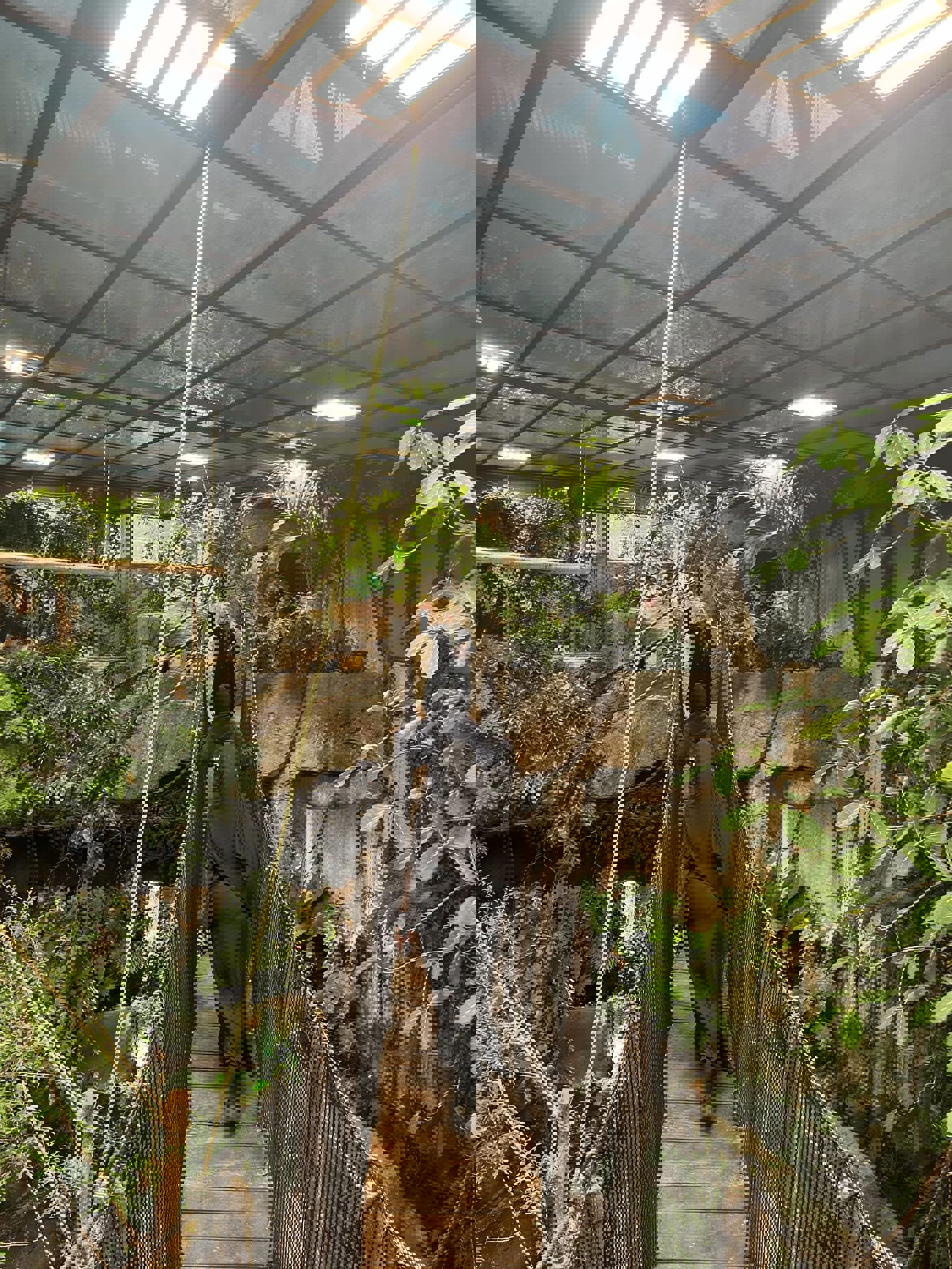 en person som går på en bro en person som går på en bro