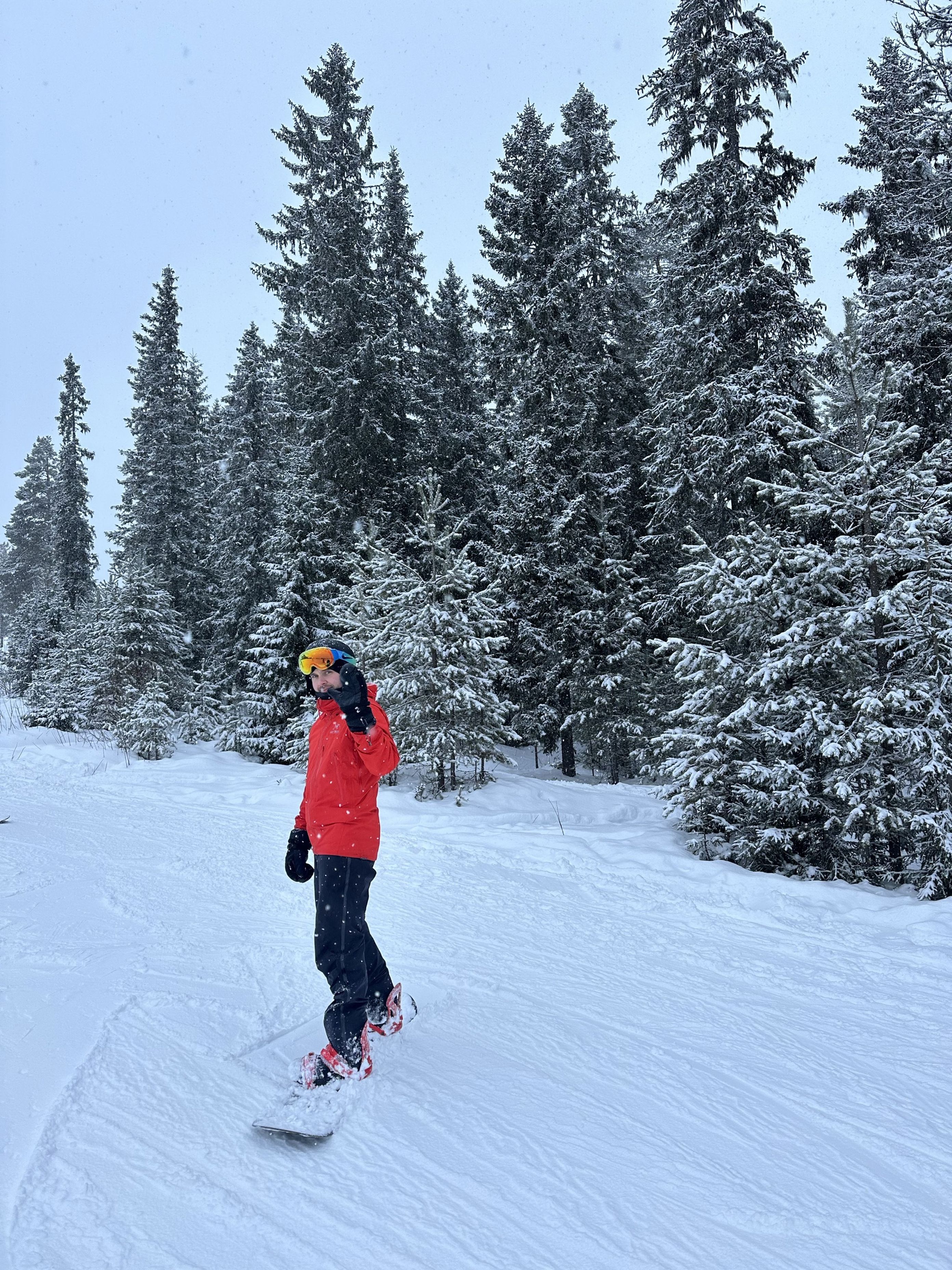en person som går på ski på snøen en person som går på ski på snøen