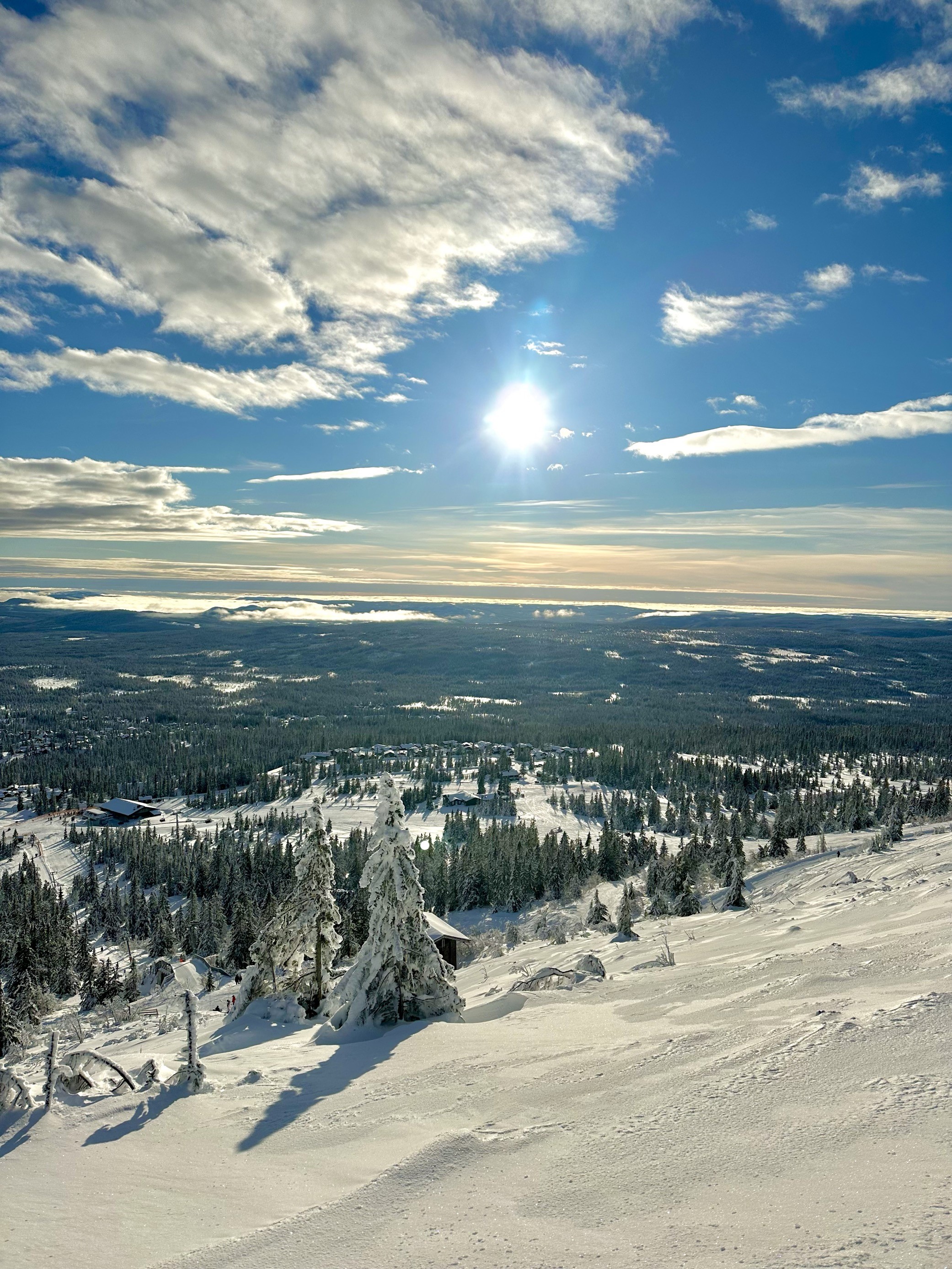 et snødekt landskap med trær og bygninger