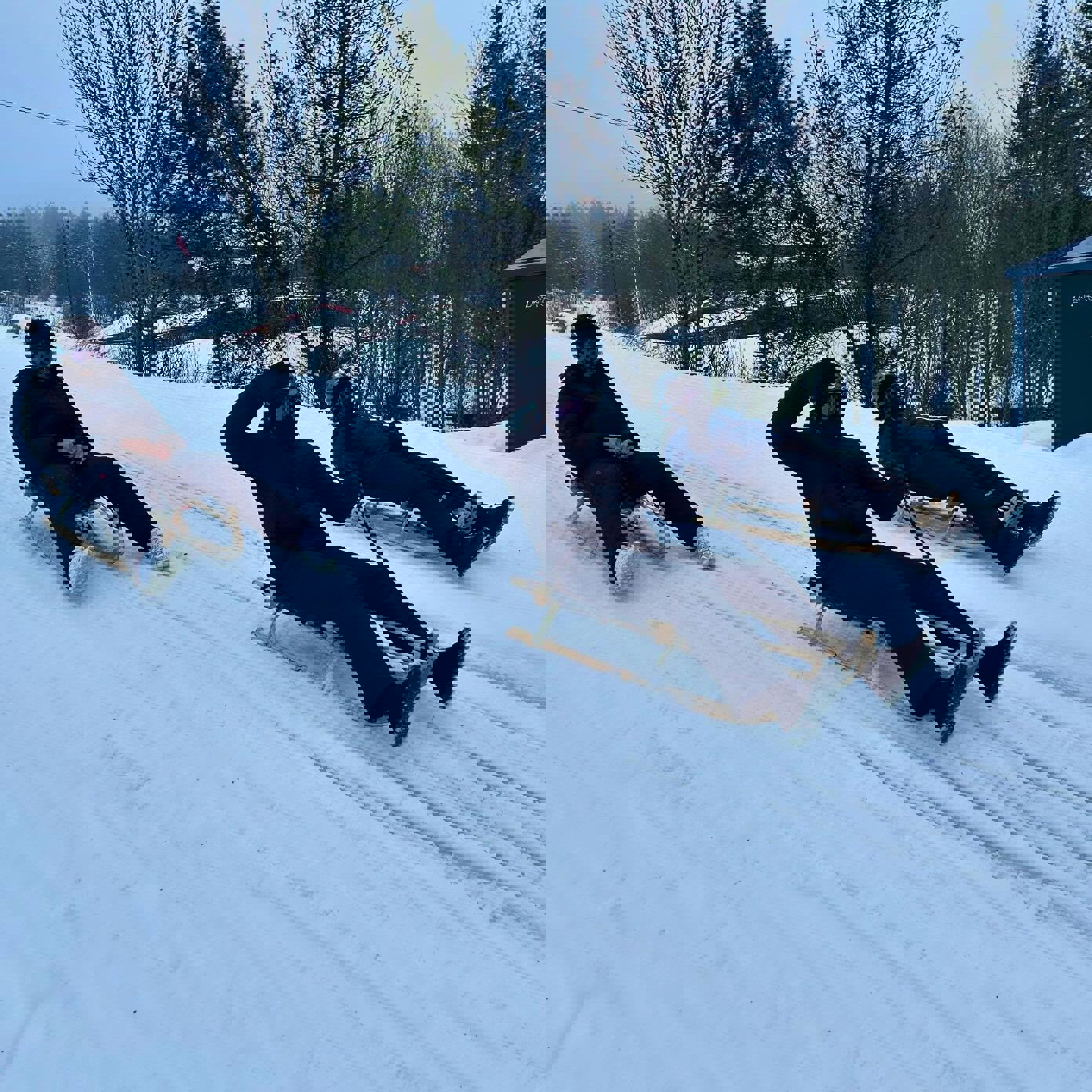 en gruppe mennesker som ligger i snøen en gruppe mennesker som ligger i snøen