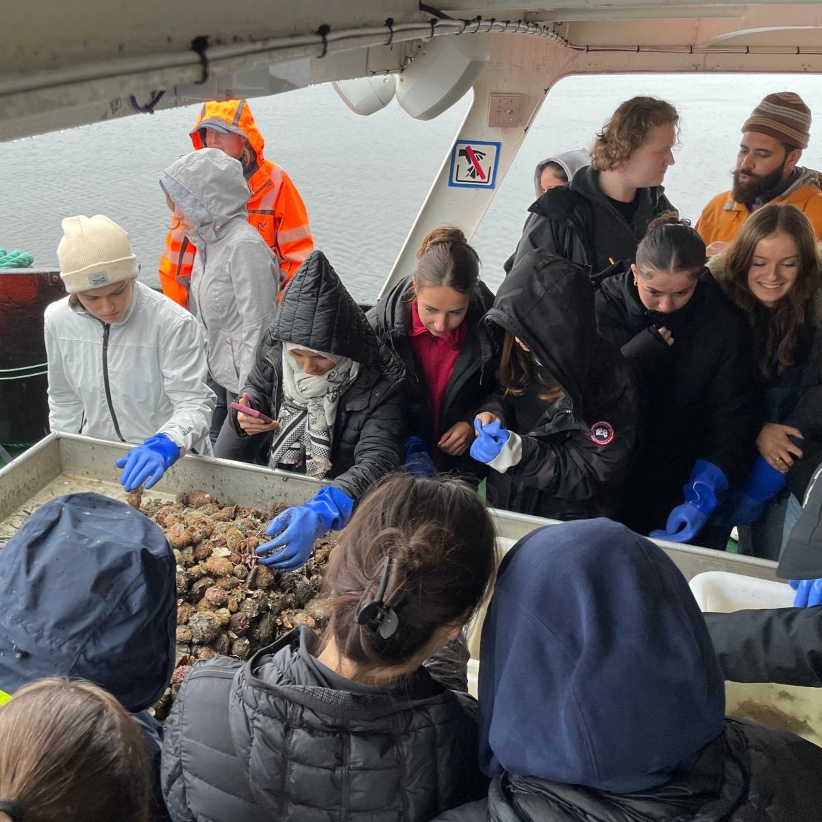 en gruppe mennesker utenfor