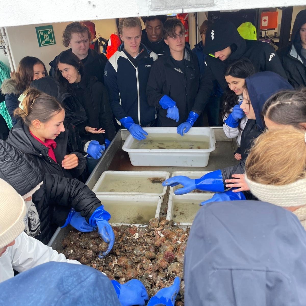 en gruppe personer i et rom