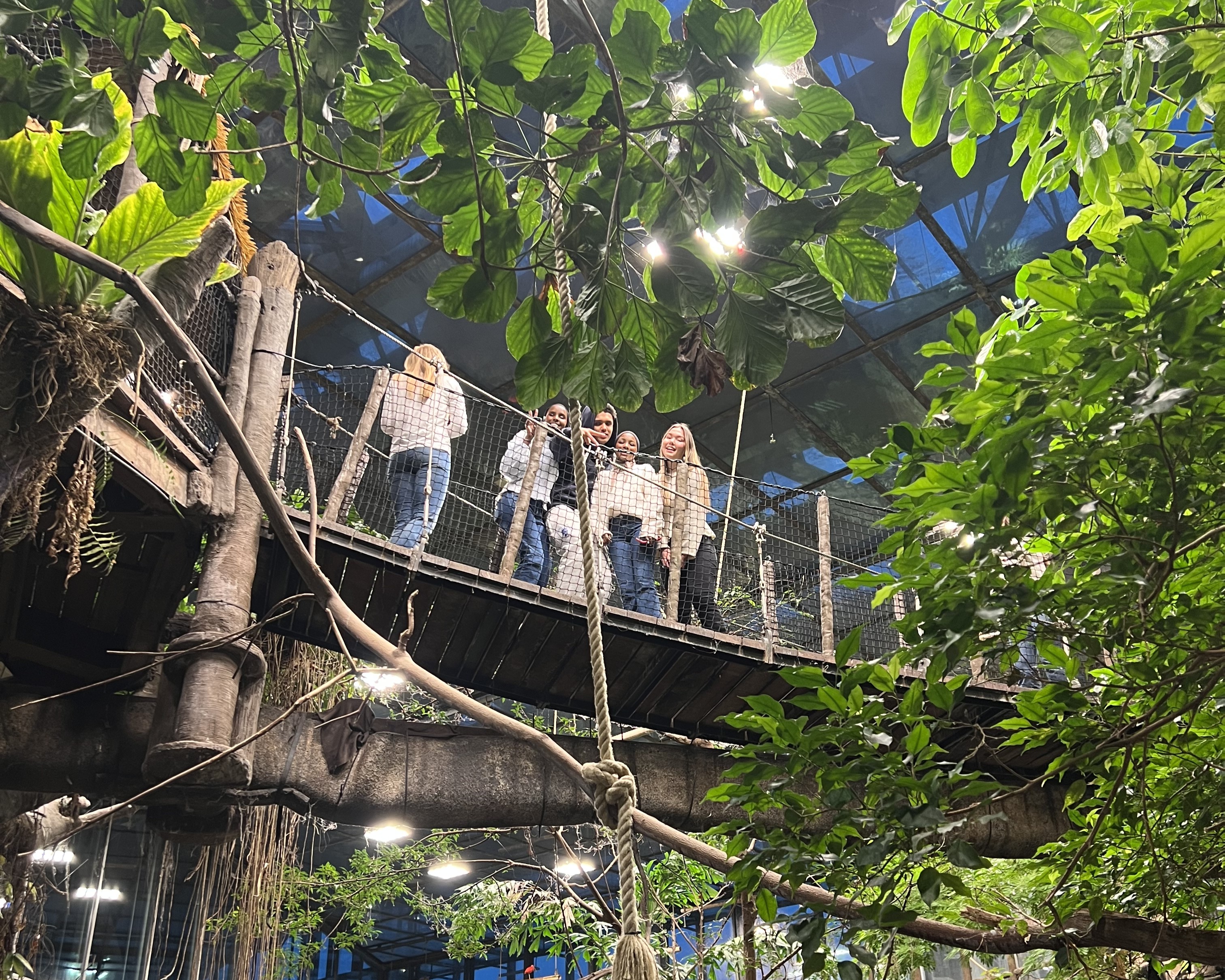 en gruppe mennesker i et tre