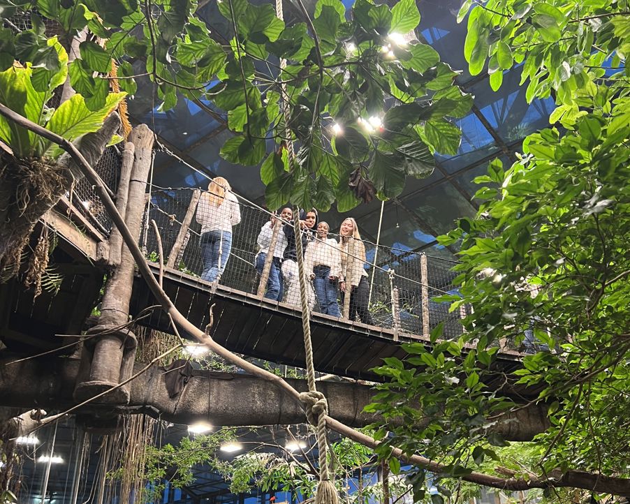 en gruppe mennesker i et tre en gruppe mennesker i et tre