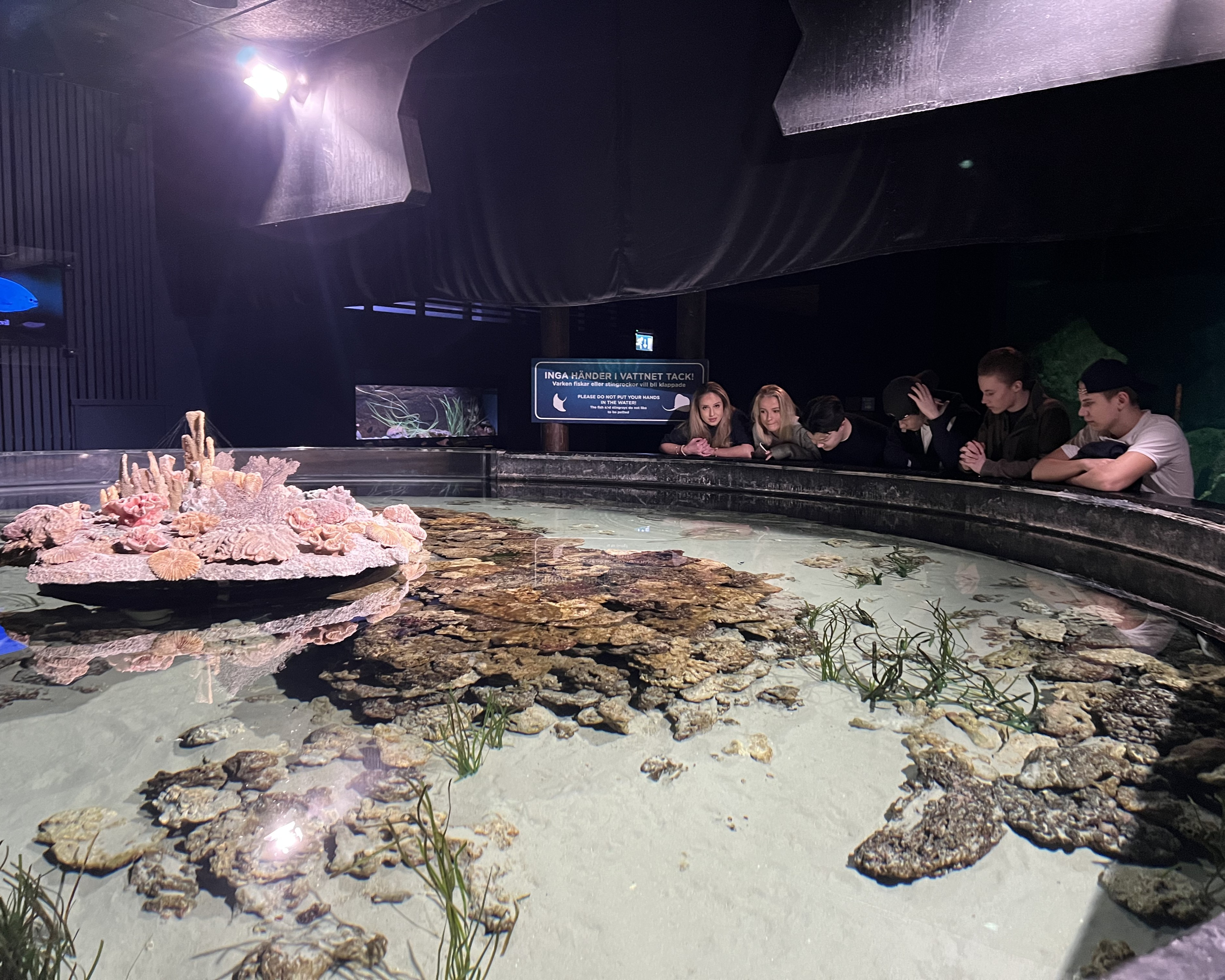 En gruppe mennesker som sitter ved et bord med et stort akvarium