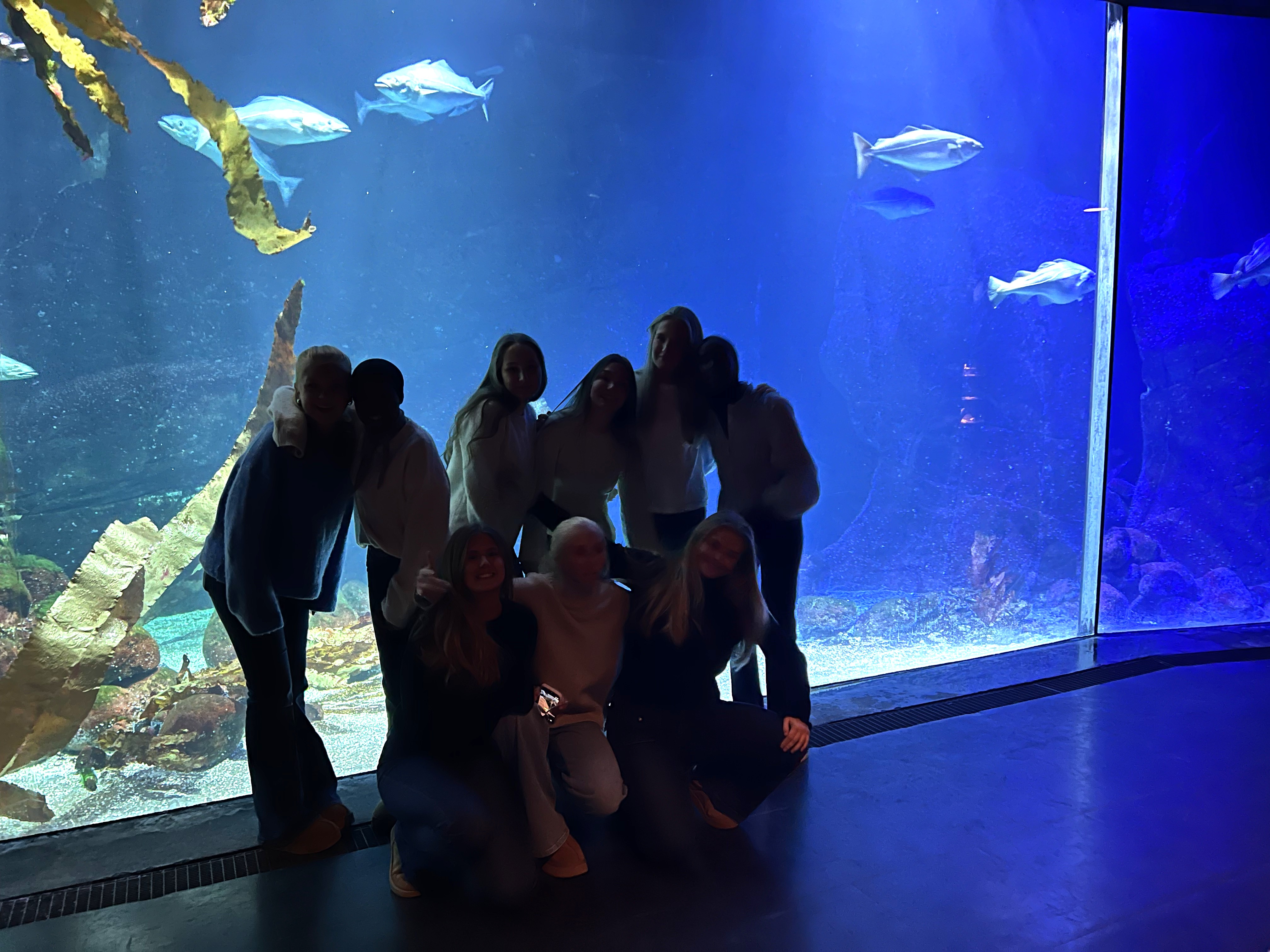 En gruppe mennesker i et akvarium