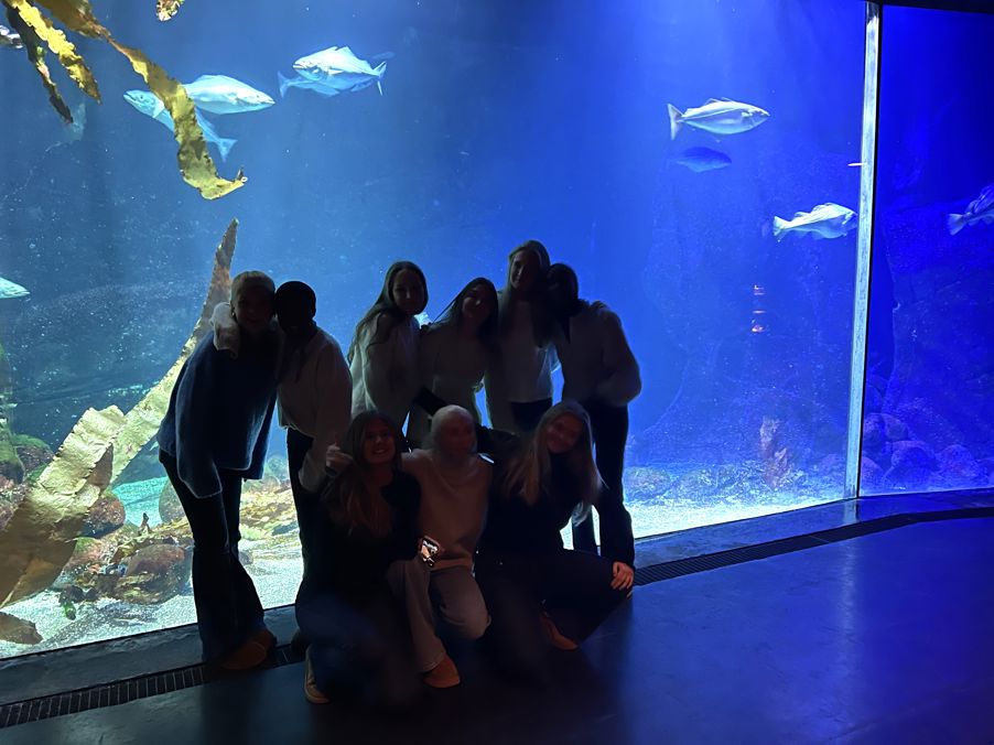 En gruppe mennesker i et akvarium En gruppe mennesker i et akvarium