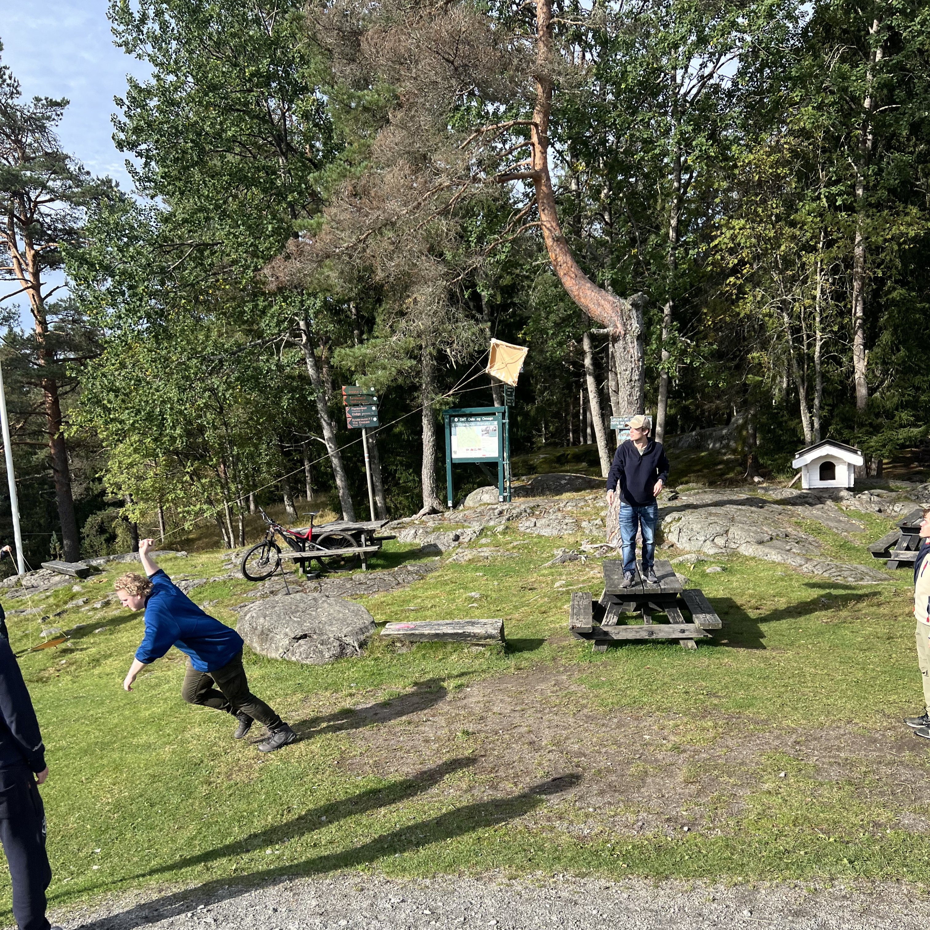 En gruppe mennesker som leker i en park