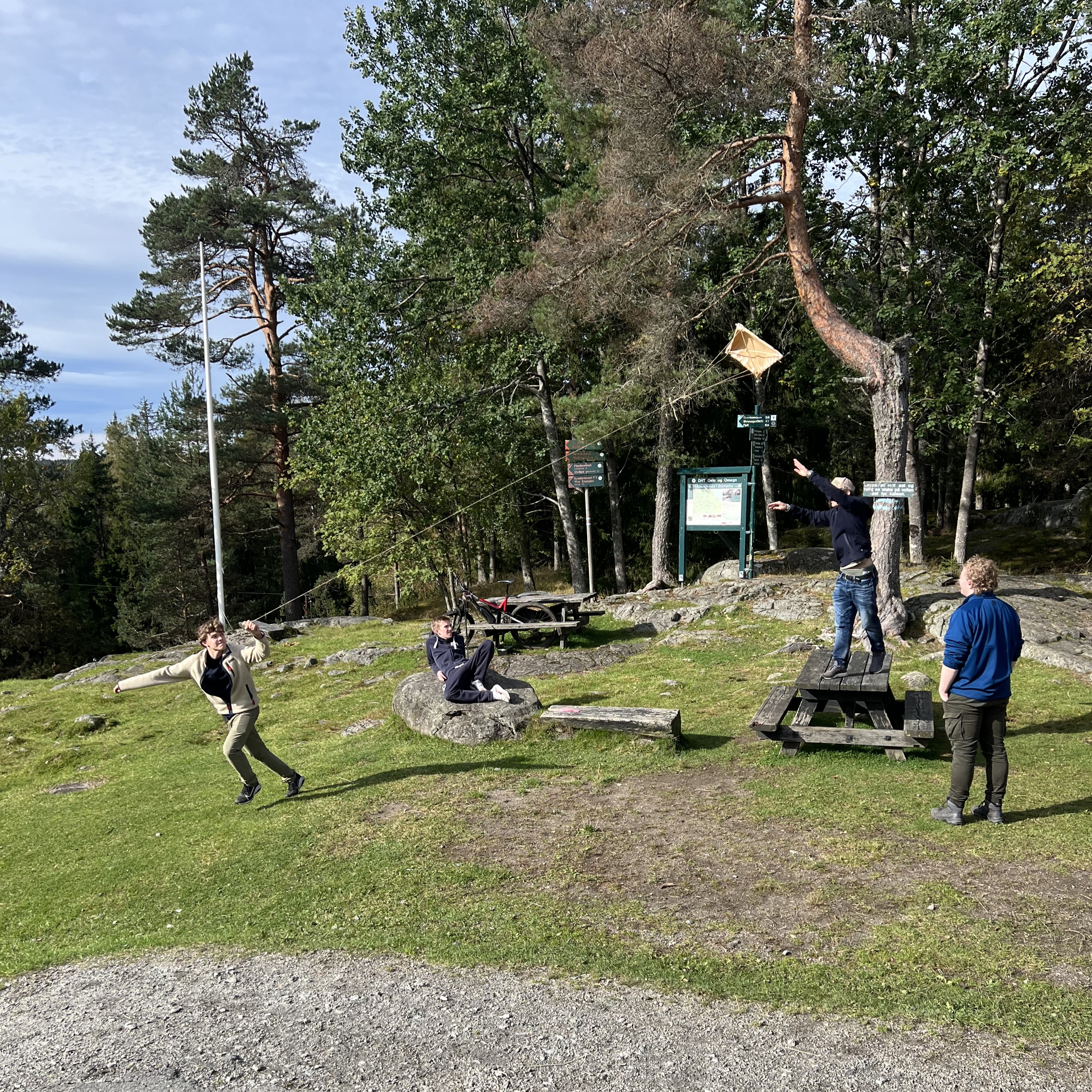 En gruppe mennesker som spiller frisbee i en park