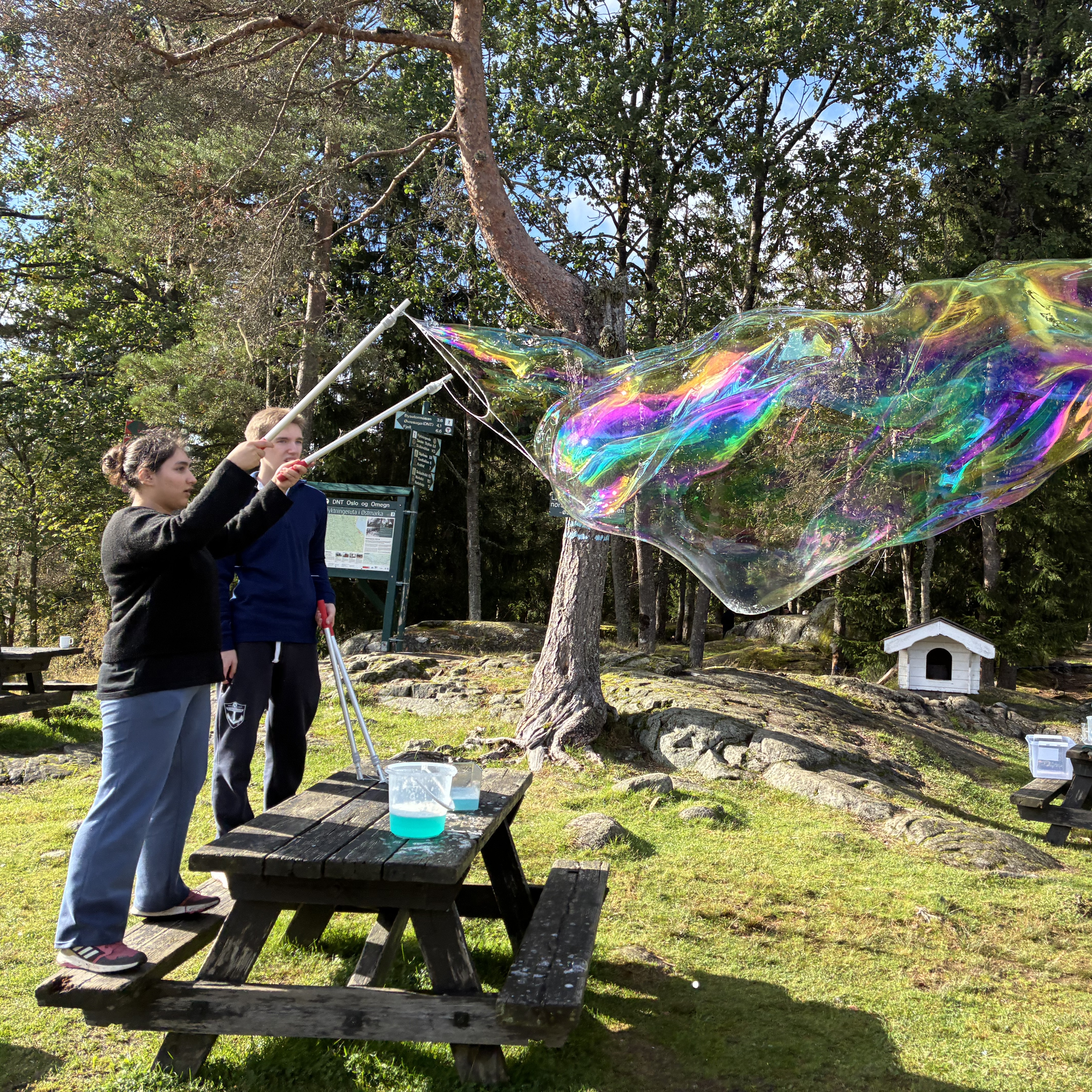 et par personer som skyter en stor fargerik gjenstand i et tre