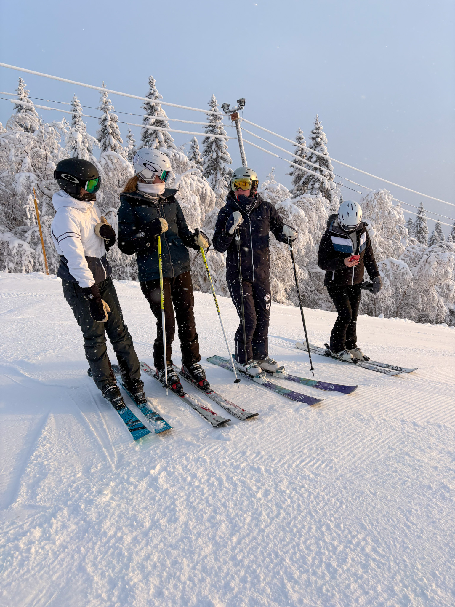 En gruppe skiløpere poserer for et bilde