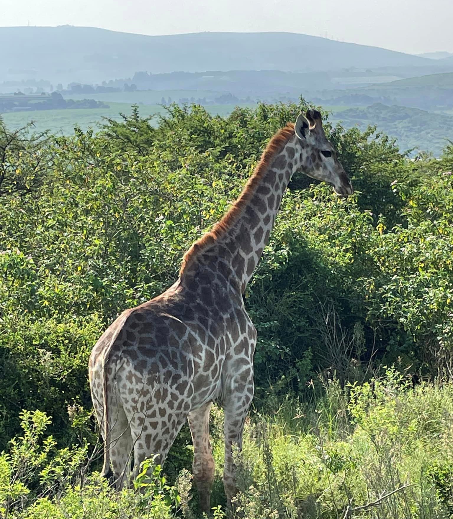 I Sør-Afrika med Impande Norway