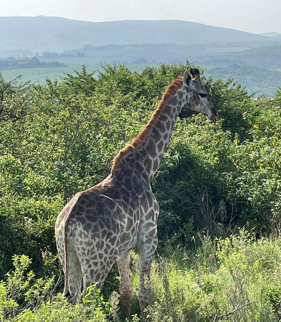 I Sør-Afrika med Impande Norway