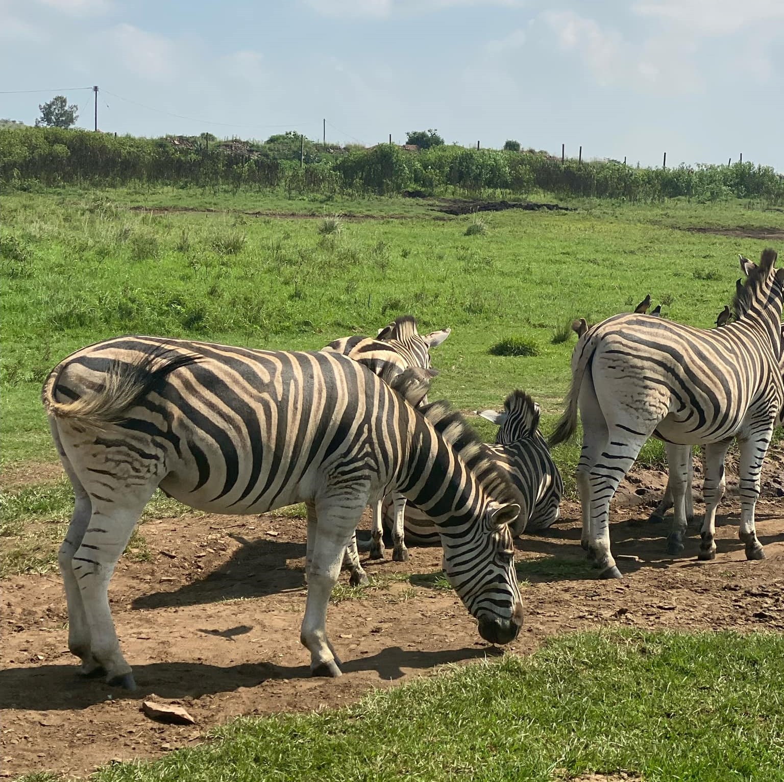 I Sør-Afrika med Impande Norway