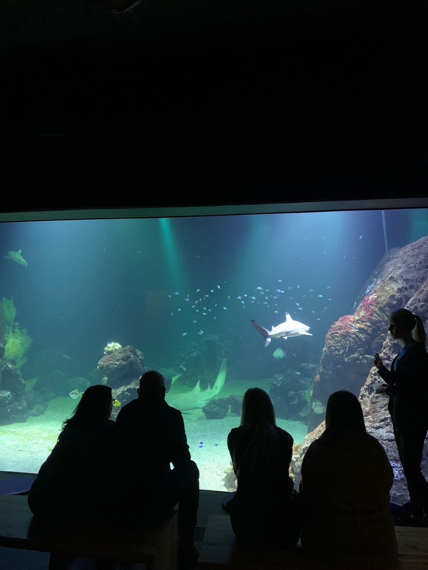 Tur til Gøteborg Tur til Gøteborg